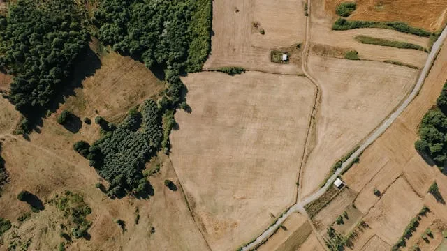 Działka rolna a budowa domu – co warto wiedzieć przed zakupem?