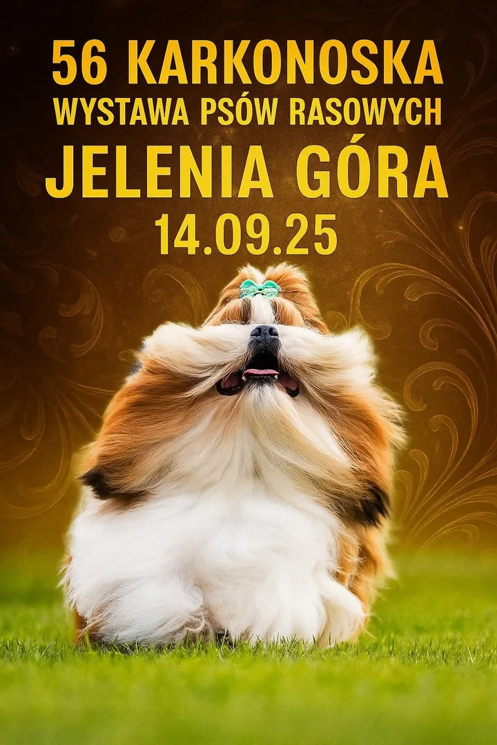 Obrazek przedstawia grafikę promocyjną wydarzenia Krajowa wystawa psów rasowych w Jeleniej Górze