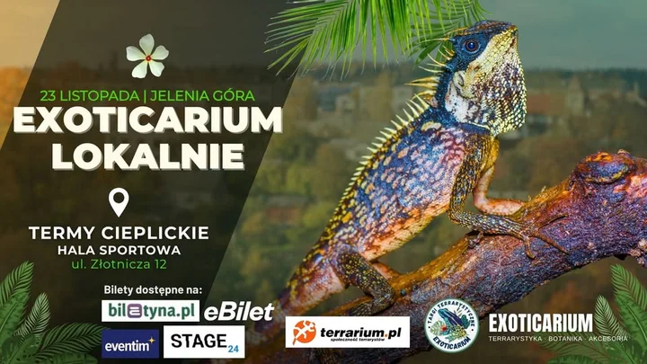 Grafika promocyjna wydarzenia EXOTICARIUM LOKALNIE — Jelenia Góra, 23 listopada 2025