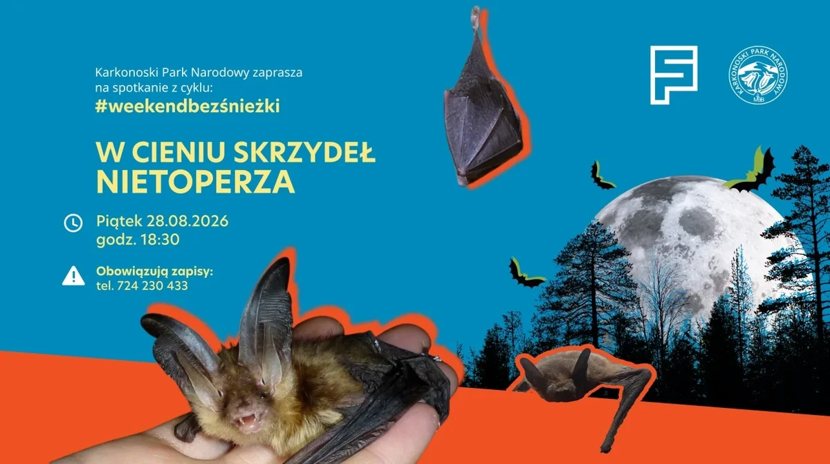 Grafika promocyjna wydarzenia Spacer „W cieniu skrzydeł nietoperzy”