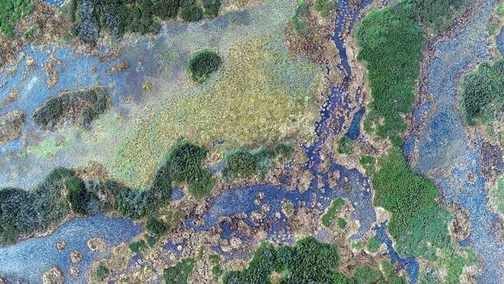 Grafika promocyjna wydarzenia ŚWIATOWY DZIEŃ MOKRADEŁ 2026 — Mokradła i wiedza tradycyjna w Pałacu Sobieszów