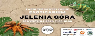 Grafika promocyjna wydarzenia EXOTICARIUM – Jelenia Góra: Targi terrarystyczne i wystawa pająków