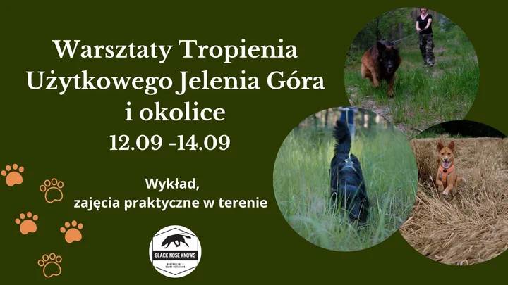 Obrazek przedstawia grafikę promocyjną wydarzenia Praktyczne warsztaty tropienia użytkowego w okolicach Jeleniej Góry
