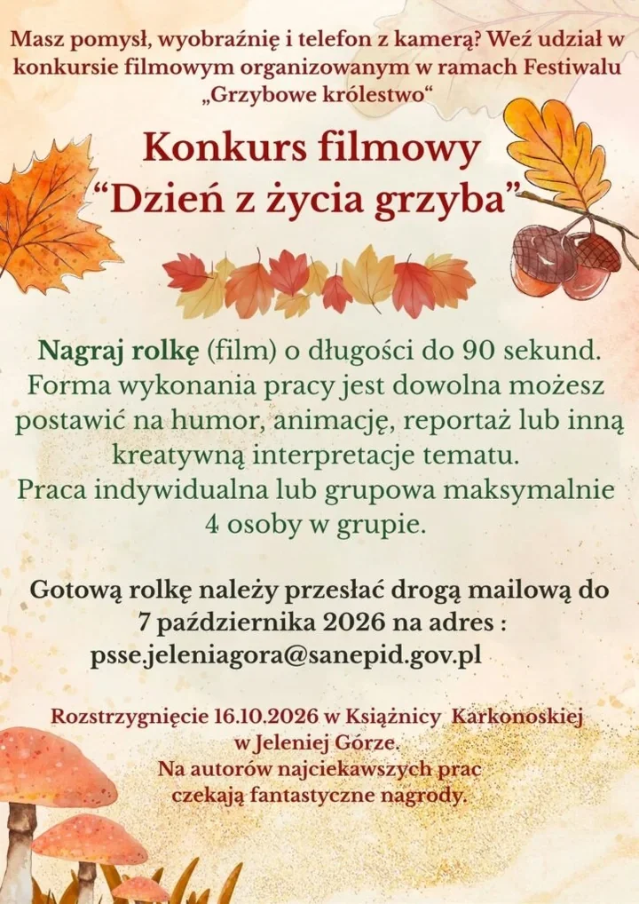 Telefon, wyobraźnia i grzyb w roli głównej - konkurs w Jeleniej Górze