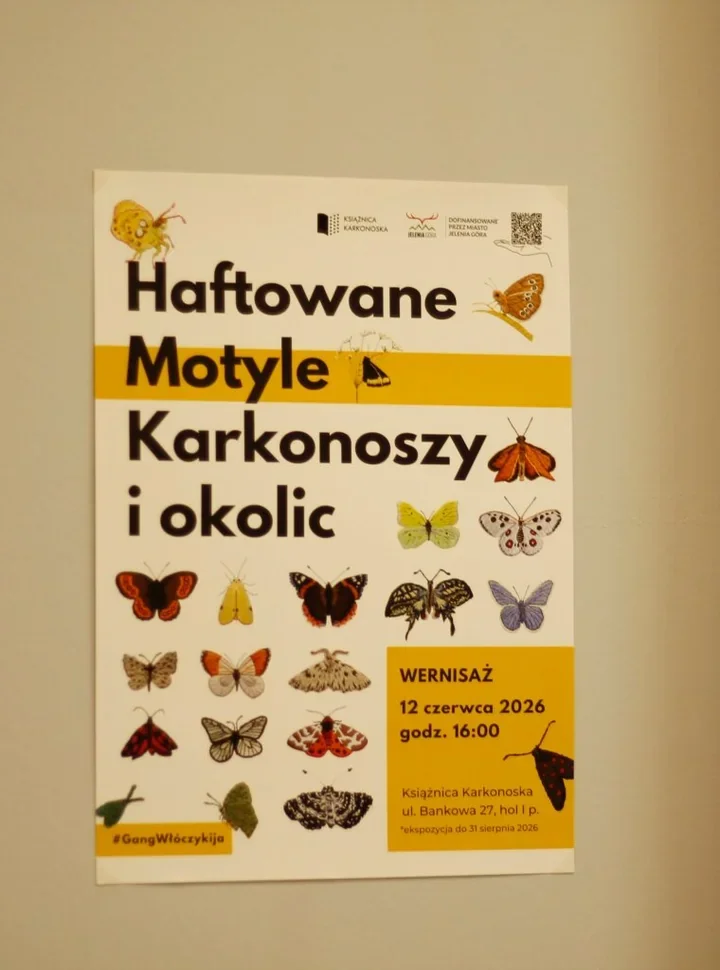 Haftowane motyle w Książnicy Karkonoskiej - wystawa, obok której trudno przejść obojętnie