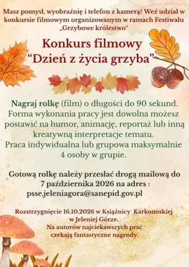 Telefon, wyobraźnia i grzyb w roli głównej - konkurs w Jeleniej Górze
