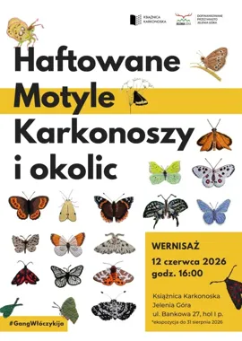 Motyle na igle - Gang Włóczykija szykuje wystawę, która łączy naukę z rękodziełem
