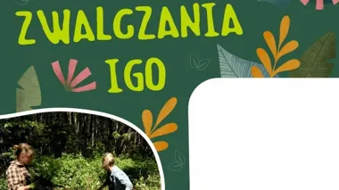 Obce gatunki w Sudetach pod lupą. Rusza wspólne zwalczanie IGO