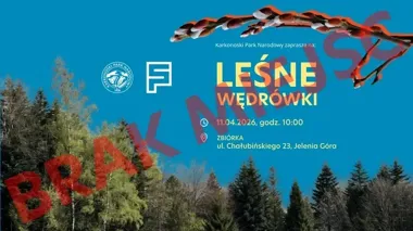 Leśna wędrówka w Karkonoskim Parku Narodowym ruszy w sobotnie przedpołudnie