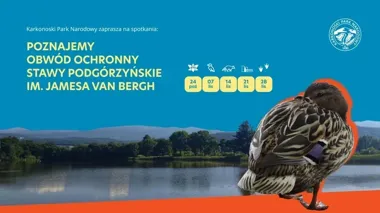 Pięć sobót przy Stawach Podgórzyńskich. Przyrodnicy pokażą więcej