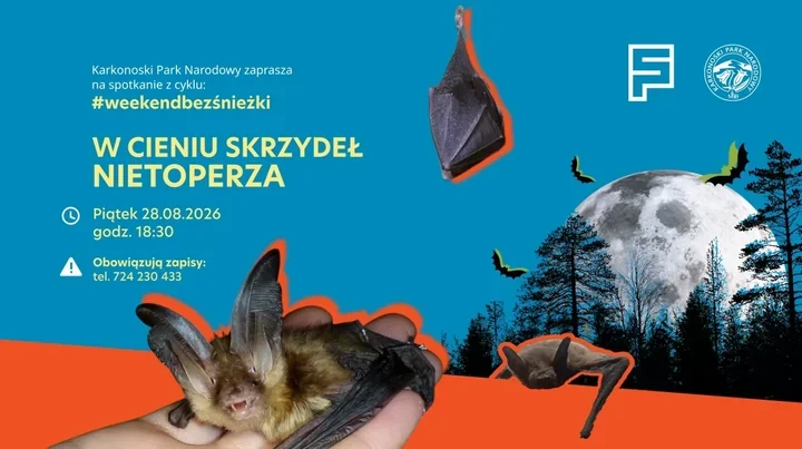 Po zmroku leśne ścieżki pokażą drugie życie. Spacer pod Chojnikiem