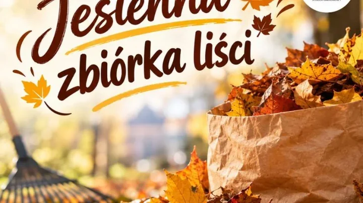 Liście nie trafią do każdego worka. Jesienna zbiórka w Jeleniej Górze