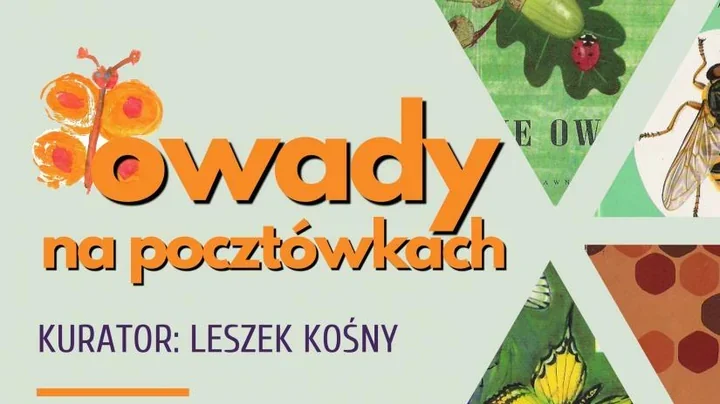 Pocztówki, które uczyły o owadach. Nowa wystawa w Muzeum Przyrodniczym