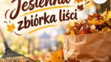 Liście nie trafią do każdego worka. Jesienna zbiórka w Jeleniej Górze