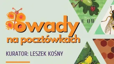 Pocztówki, które uczyły o owadach. Nowa wystawa w Muzeum Przyrodniczym