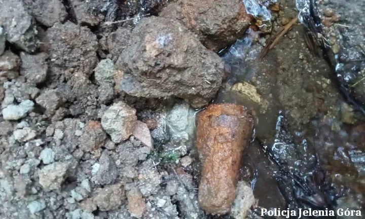 Cztery zapalniki znalezione w lesie - saperzy z Bolesławca zabezpieczyli teren