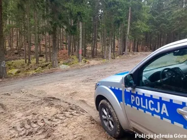 Dwa granaty moździerzowe w lesie pod Jelenią Górą. Interweniowali saperzy