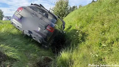 Owad rozproszył kierującą w Jeleniej Górze. Uderzyła w znak