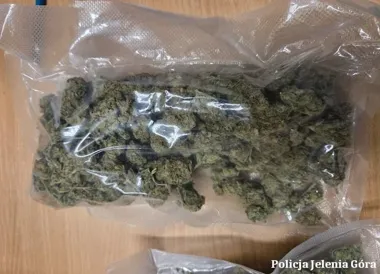 Marihuana pachniała już na klatce - policja weszła do mieszkania w Jeleniej Górze
