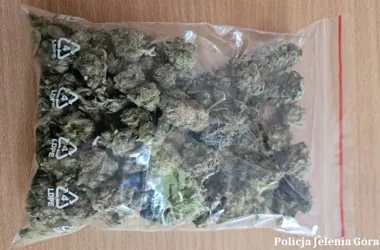 Marihuana ukryta w mieszkaniu w Jeleniej Górze - policja doliczyła ponad 200 porcji