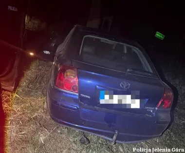 Ukradł auto i rzucił się do ucieczki - nocna jazda skończyła się w rowie