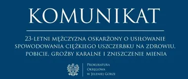 23-latek z Kamiennej Góry oskarżony o atak nożem i groźby