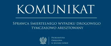 Podejrzany o śmiertelne potrącenie w Zawidowie trafił do aresztu