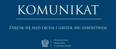 Trzy miesiące aresztu za przemoc wobec ojca. Padły groźby zabójstwa